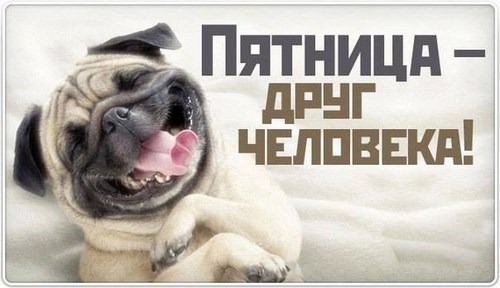 Академия вождения ООО