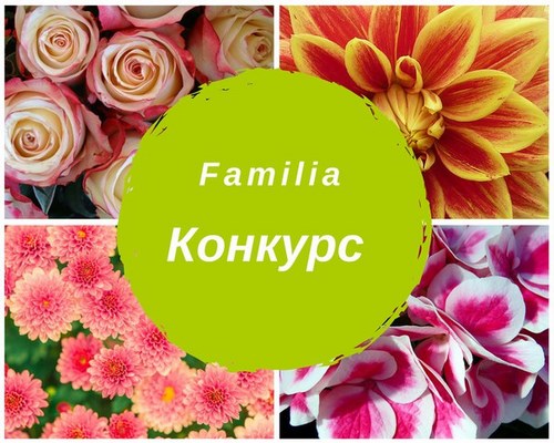  Familia Томск