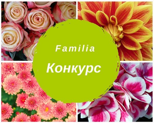 Familia Томск
