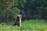 Картинка Кинезик, физкультурно-оздоровительный центр