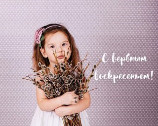Курсовые & дипломные