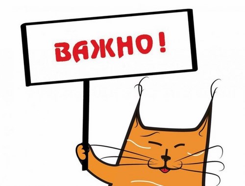 Новость Нежность оздоровительный центр