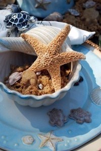 Подсолнух