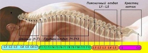 Новость Преображение студия здоровья