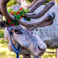 Новость Салтан, гончарная мастерская