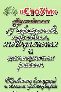 Логотип компании СтоУм, многопрофильная фирма