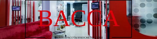 Логотип компании Васса, салон красоты и косметологии