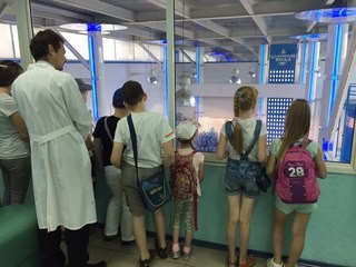 Новость Гениум Томск