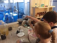 Новость Гениум, сеть центров чтения и развития