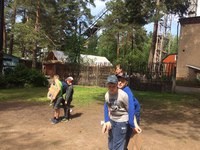 Для Гениум